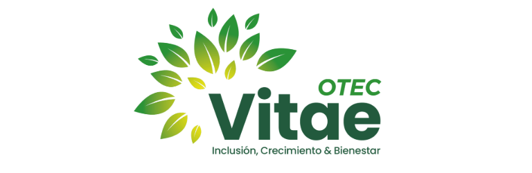 Vitae Capacitaciones